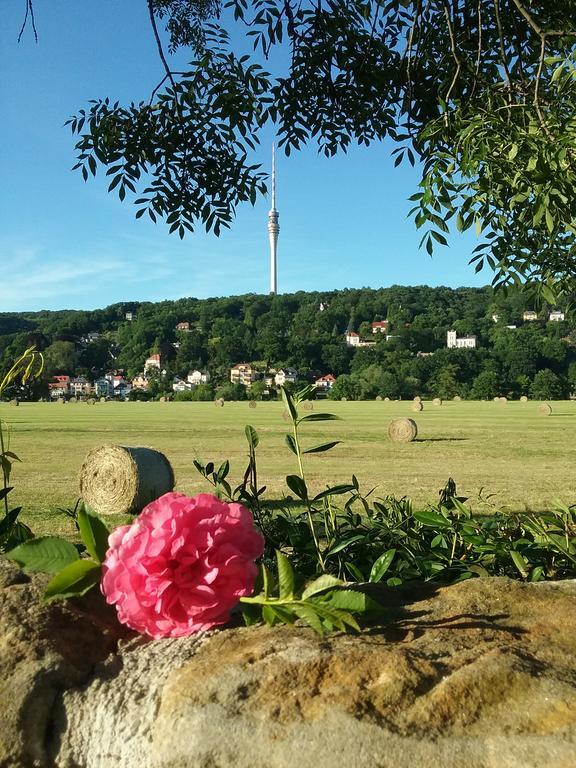 Alttolkewitzer Ferien- & Privatzimmer Mrosk Dresden Hotel Екстериор снимка